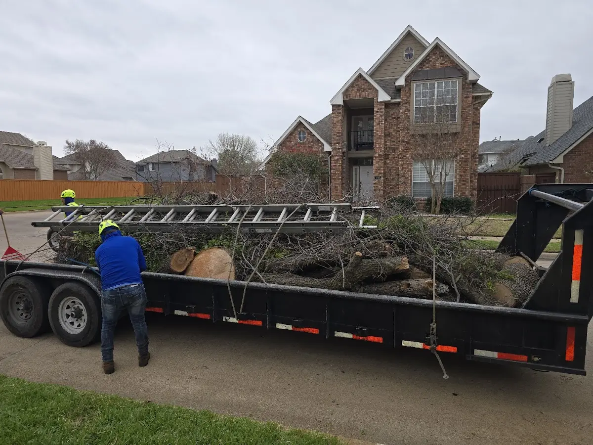 Expert Tree Fertilization with proper safety equipment in Neapolis